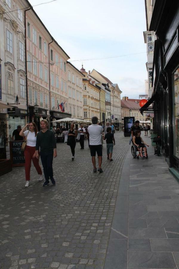 Lovely Old City-Center Apartment Lublaň Exteriér fotografie