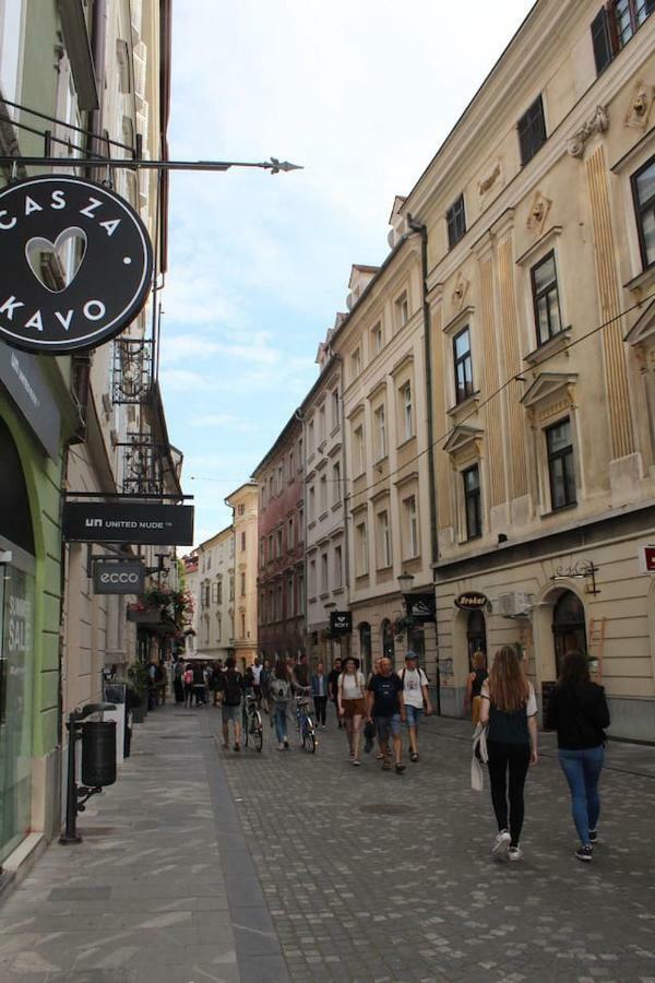 Lovely Old City-Center Apartment Lublaň Exteriér fotografie
